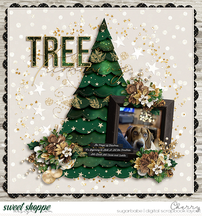 CG-ck_ChristmasBigSymbolsWM