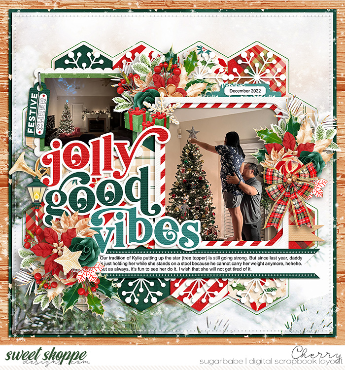 CG-cschneider_AJoyfulSeasonWM