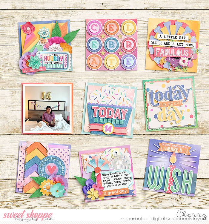 CG-cschneider_BBBirthdaySet1WM