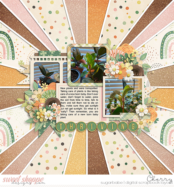 CG-cschneider_BoldBackground6WM