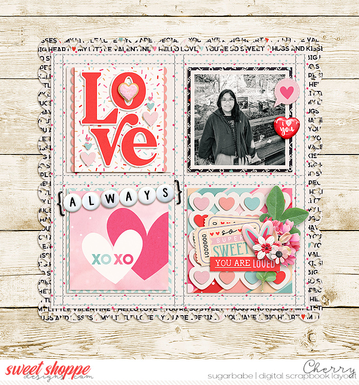CG-cschneider_BuilderBlocksLove1WM