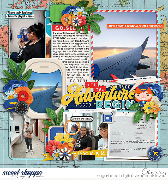 CG-cschneider_FrequentFlyerWM