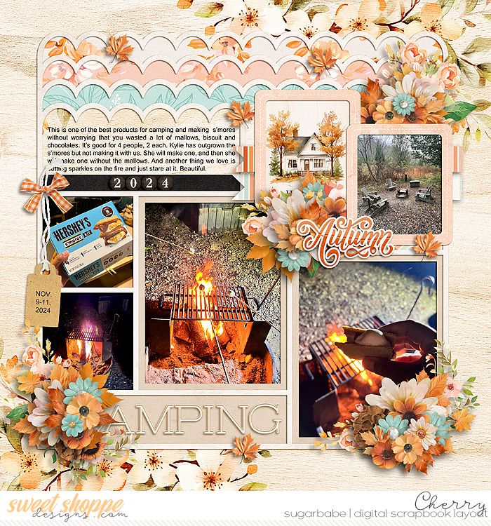 CG-cschneider_PhotoPalooza491WM