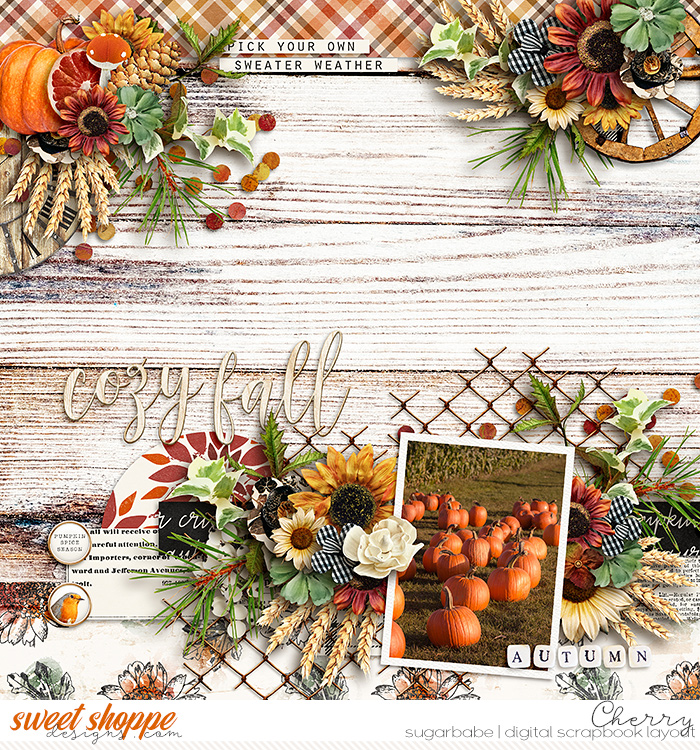 CG-dsi_FarmhouseFallWM