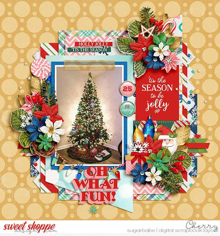CG-dsimcreations_ChristmasFunWM