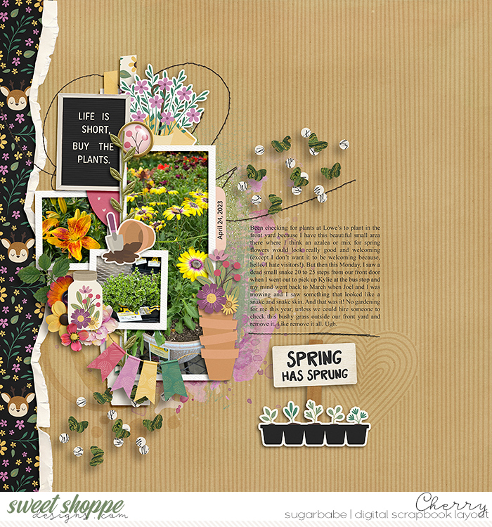 CG-ezane_SneezinsGreetingsWM