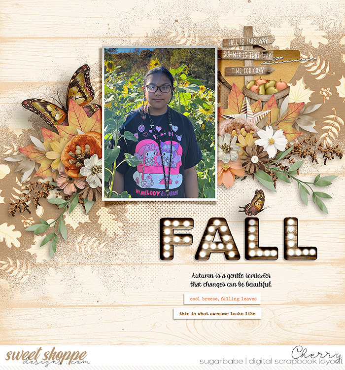 CG-fdd_SunshineOnMyShouldersWM