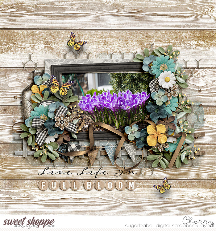 CG-flergs_VintageFarmhouseWM