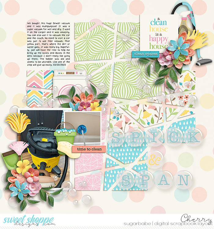CG-jocee_SpringCleaningWM