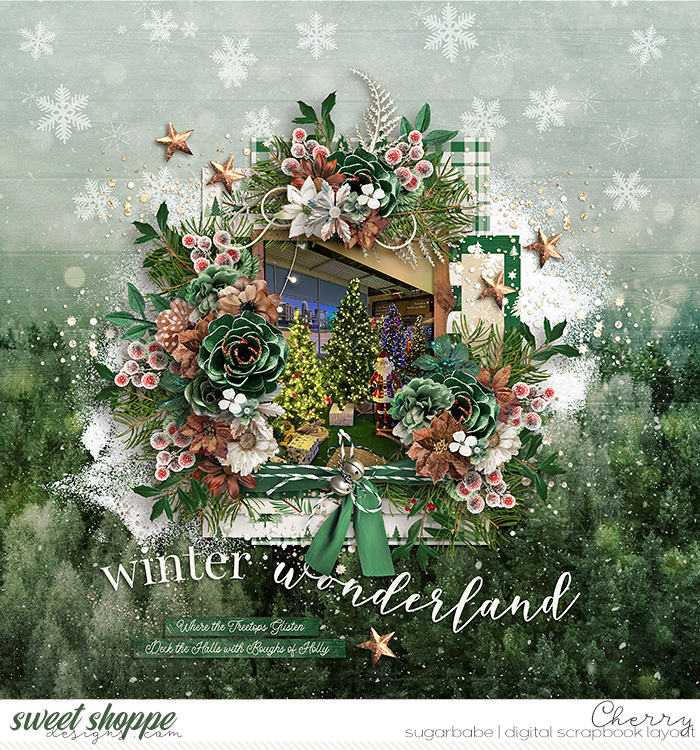 CG-kcb_ACVEvergreenAcresWM