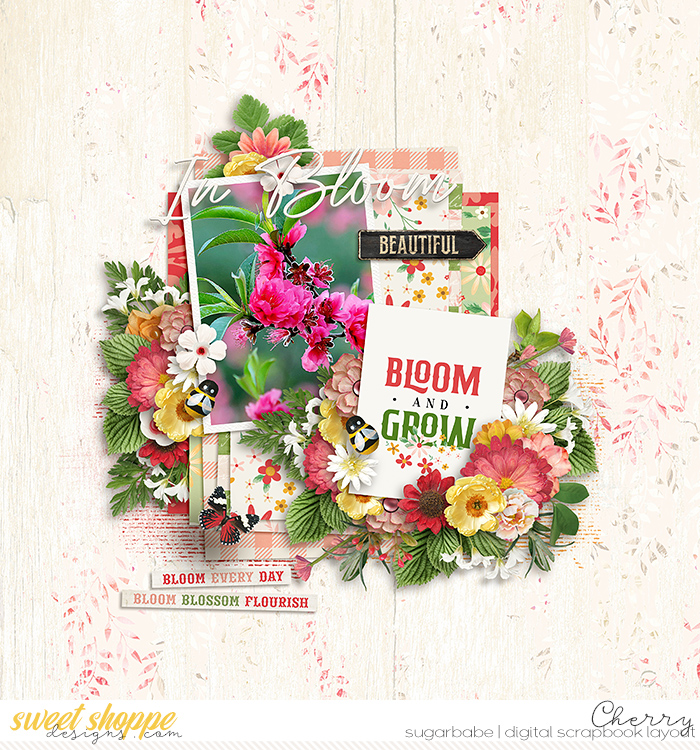 CG-kcb_FarmToTableBloomWM