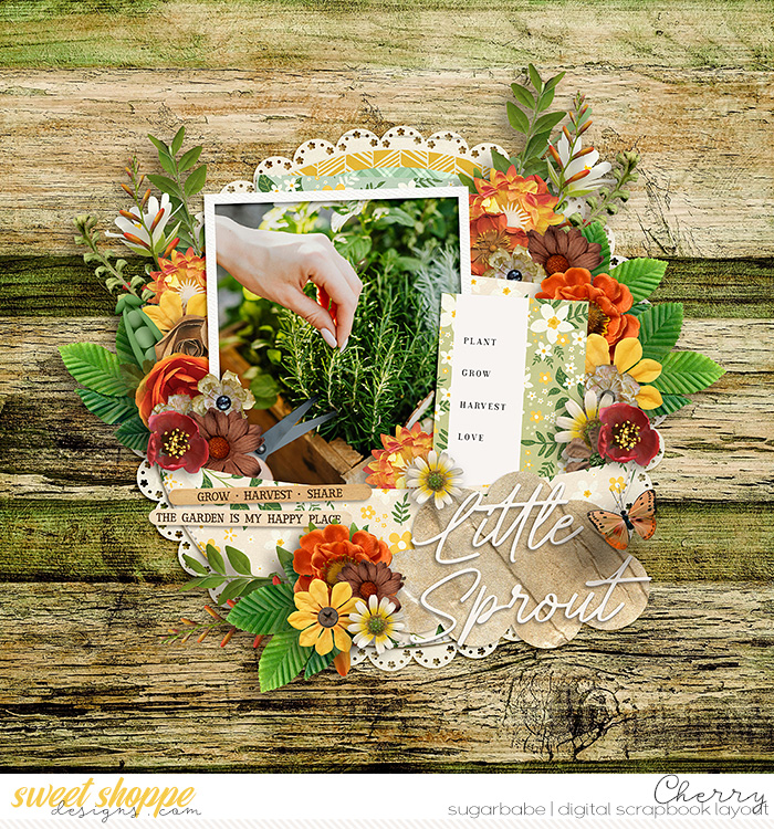 CG-kcb_FarmToTableGrowWM