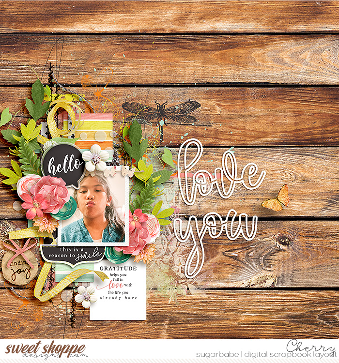 CG-kcbsbasic_NTSFindingJoyWM
