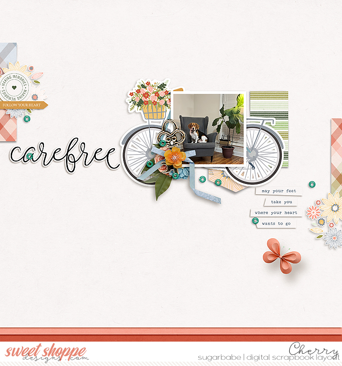 CG-soco_CarefreeWM