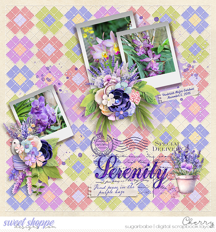 CG-tnp_AQuiltedFancyV2WM