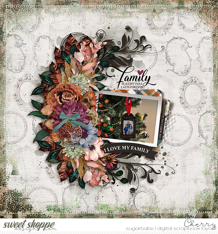 CG-tnpck_OurFamilyTheSumOfUsWM