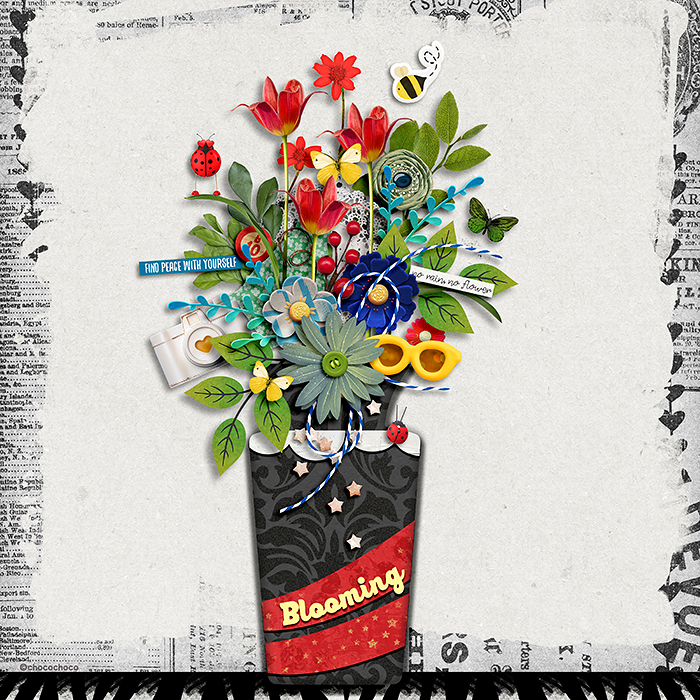 CHOCOCHOCO-BLOOMING