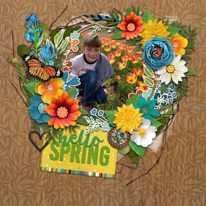CMG-Springy_FDW