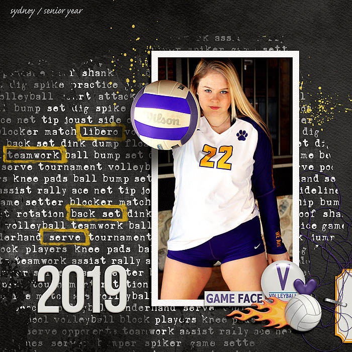CMG-Volleyball_04