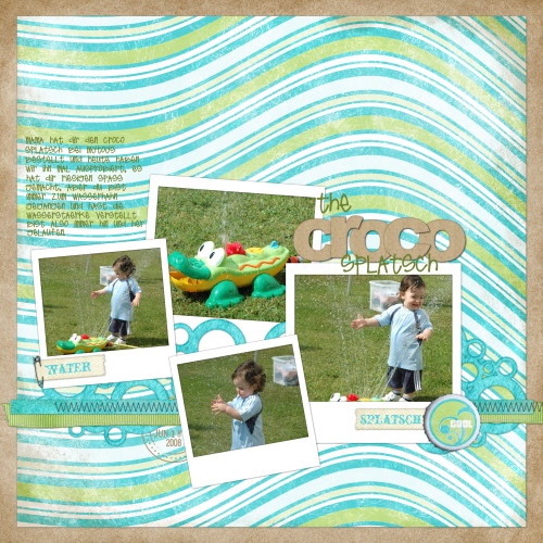 CSchneider_Cookie101_18062008