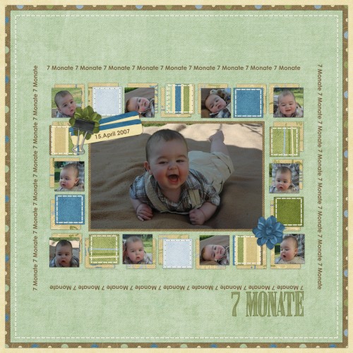 CSchneider_cookie101_02272008