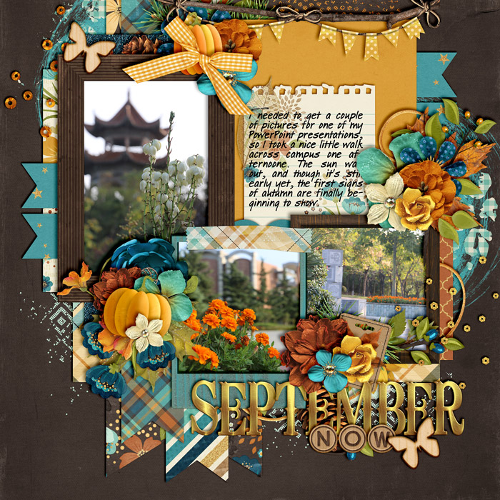 CT-CS-HP172web