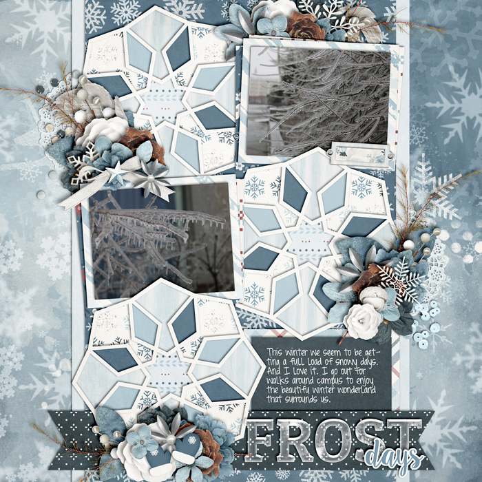 CT-CS-TP68web