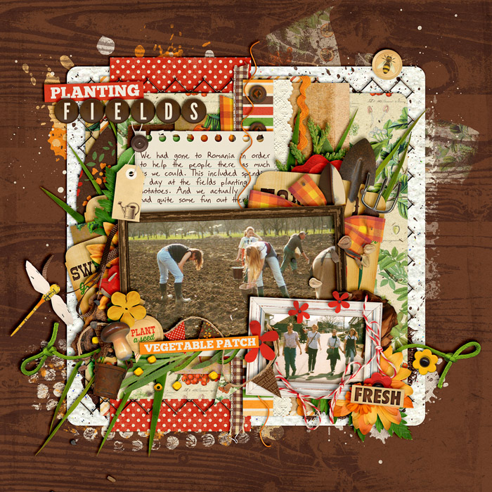 CT-KCB-howdoesyourgardengrow