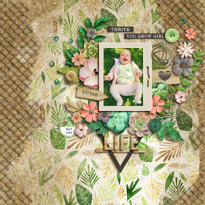 CT_FDD_DSD-05OCT24_Nestled_VRIELINKIE