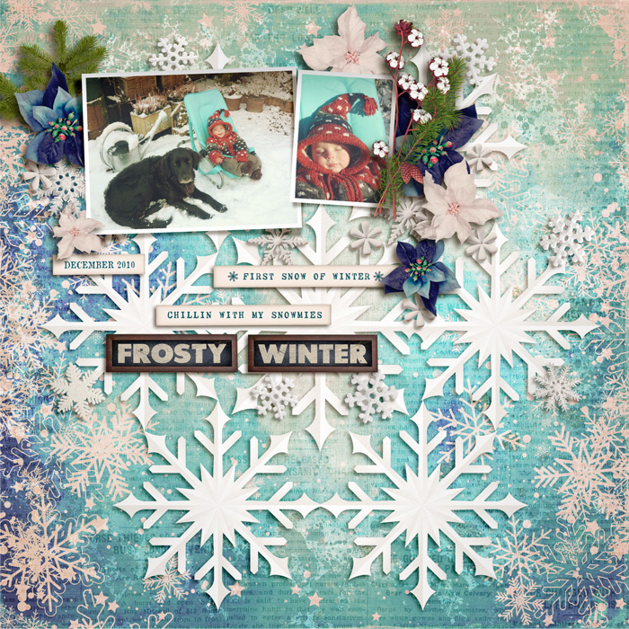CT_FDD_SSS28NOV24_BLACK-FRIDAY_SnowflakeJoy_VRIELINKIE