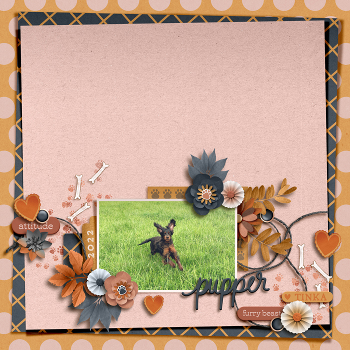 CT_STL_SSS07DEC24_fortheloveoftemplates2_VRIELINKIE