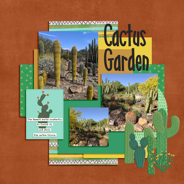 Cactus-Garden