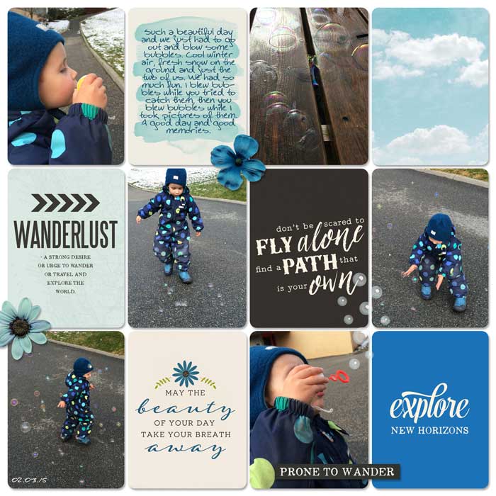 Cam_020315_web