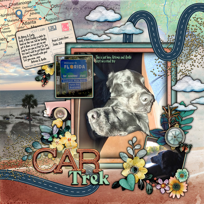 CarTrek