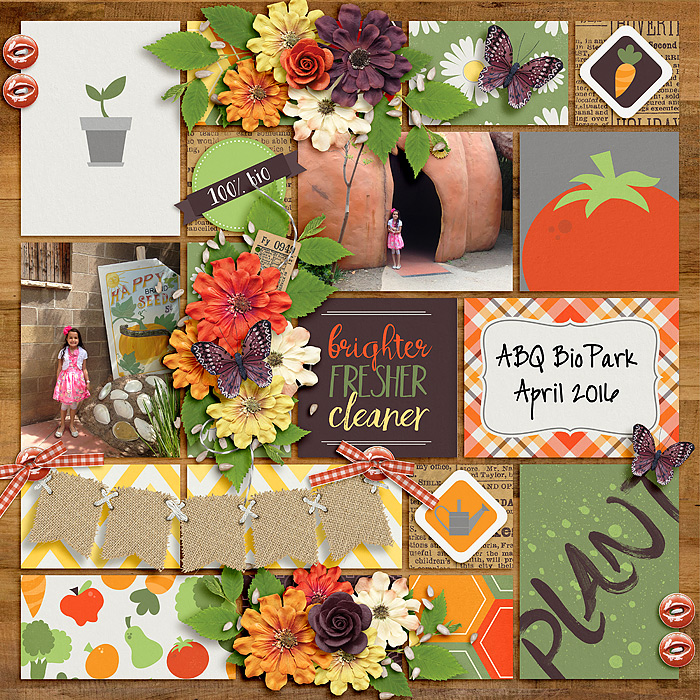 Cassie_DBD---Urban-Garden-Left-Side-copy