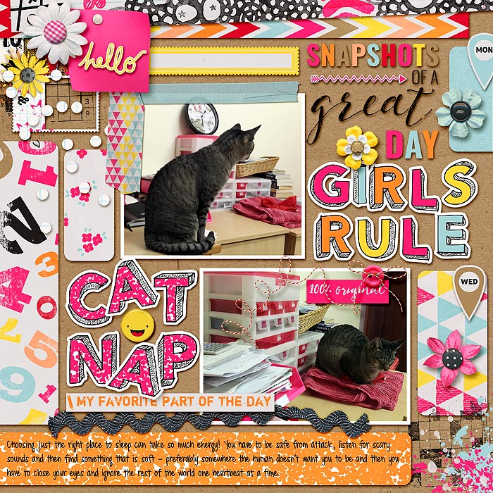 Cat-nap-small