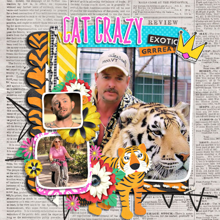 Cat_Crazy