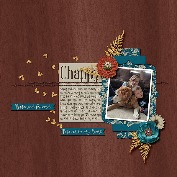 Chappy2016Web