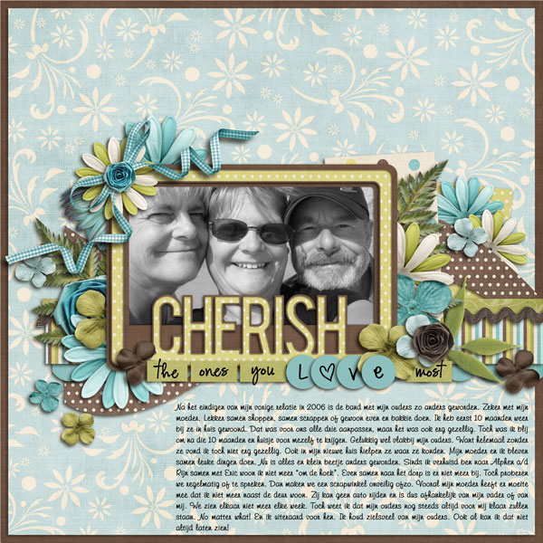 Cherish-ssd
