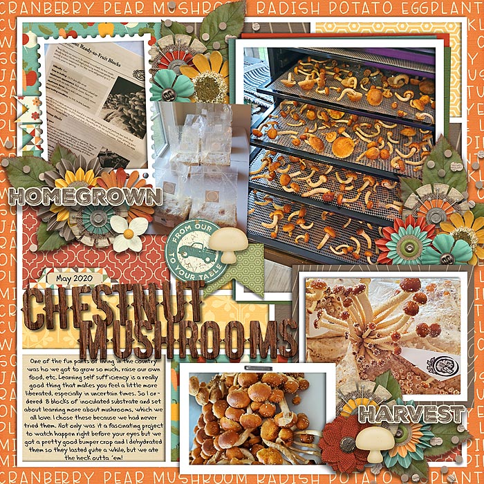 ChestnutMushrooms