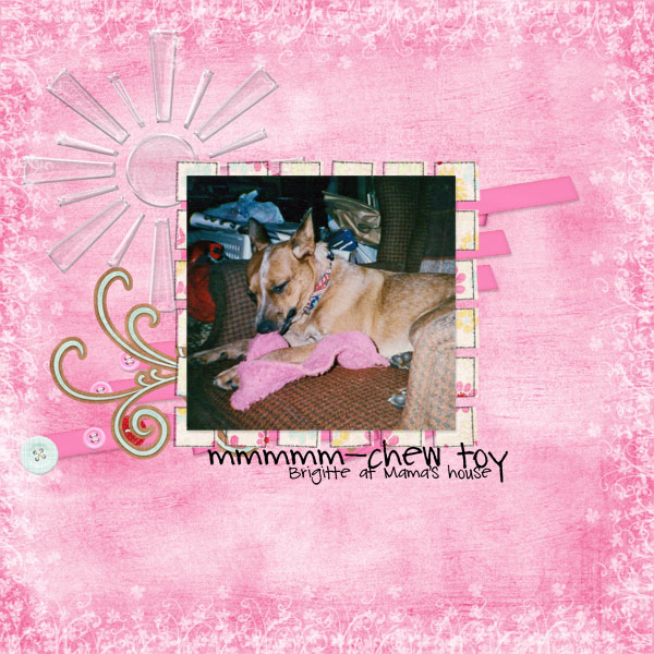 Chew_Toy-recipe_ch_5_28_sm