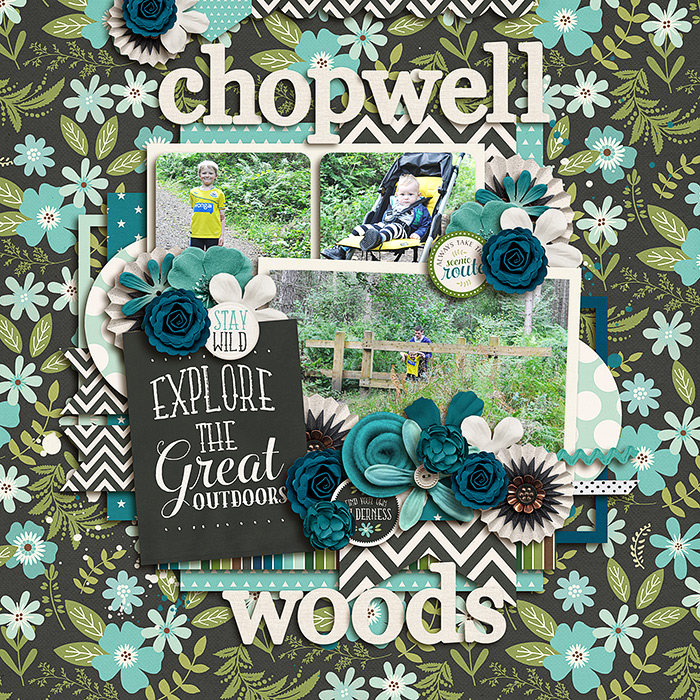 ChopwellWoods700