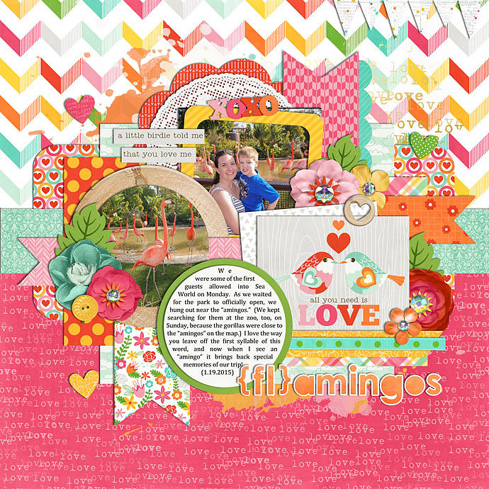 Chrissie_-_1-19-15_Flamingos-set185-twitterpation-web700