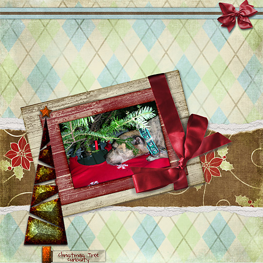 Christmas-Tree-Curiosity