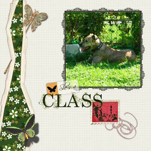 Class_Act