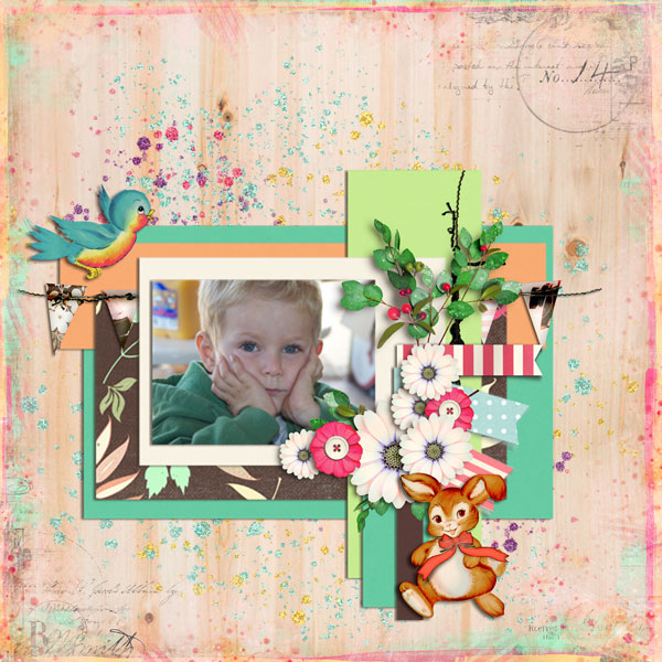 Cody-web