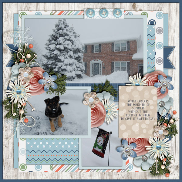 Cold-Of-Winter