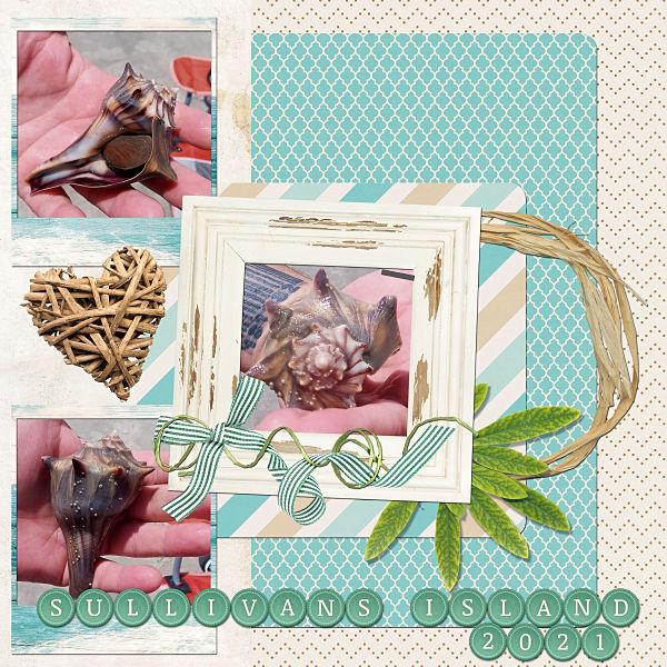 ConchShell6x6