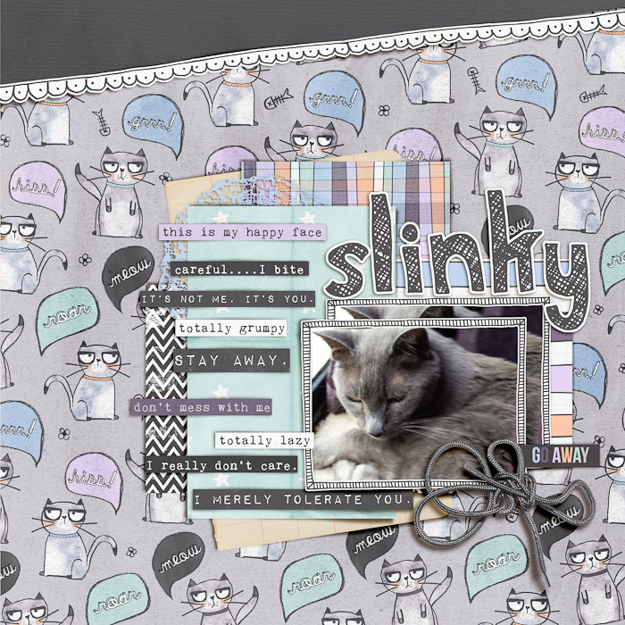 Corbin_Collection_May_2014_grumpy_kitty