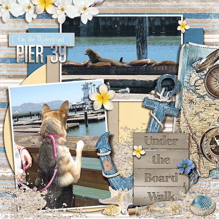 Cross_Country_Trip_Pier_39_ss